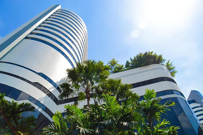 Palm trees, blue sky, modern academic building